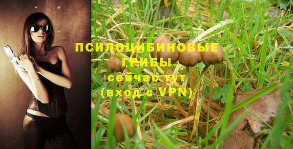 PSILOCYBIN Аркадак
