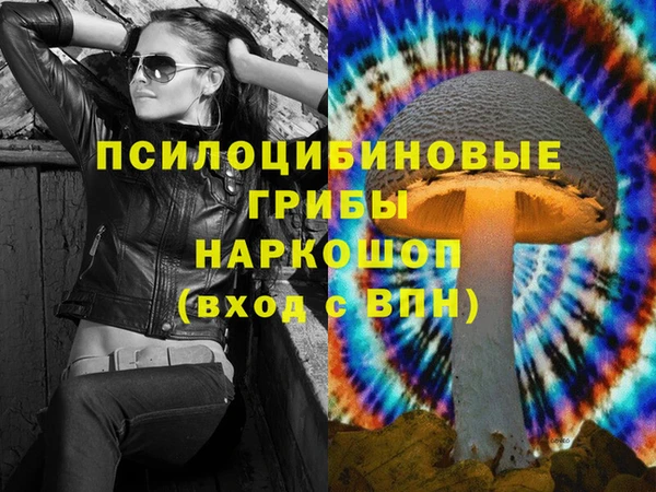 mdpv Приозерск