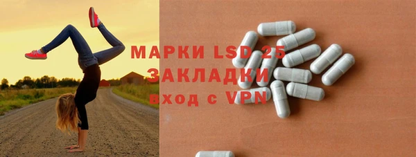 PSILOCYBIN Аркадак