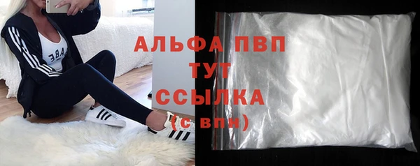 PSILOCYBIN Аркадак