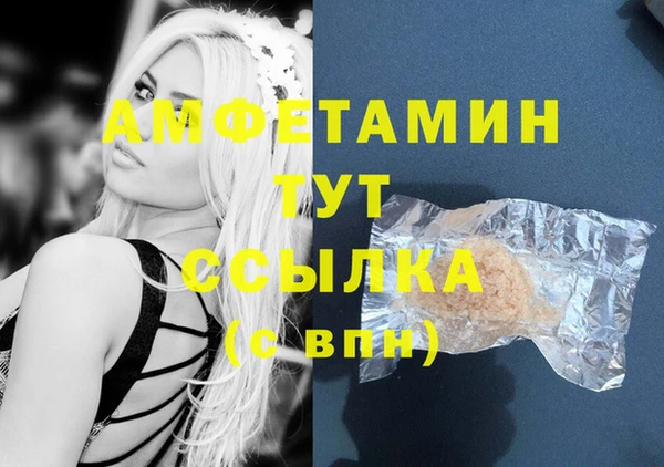 PSILOCYBIN Аркадак
