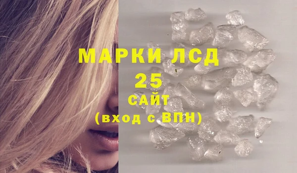 PSILOCYBIN Аркадак