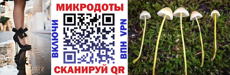 цена наркотик  Петушки  Псилоцибиновые грибы MAGIC MUSHROOMS 